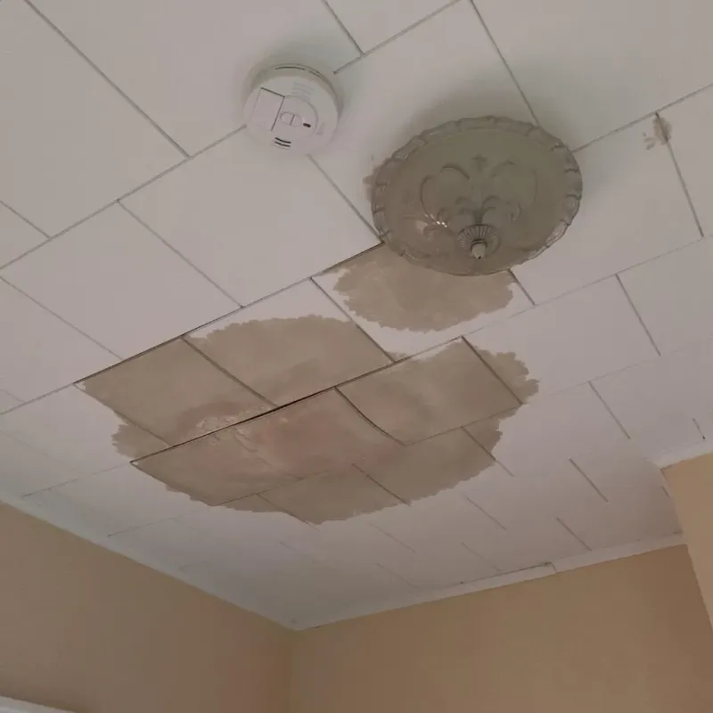 Ceiling Water Damage Repair in Long Branch, NJ